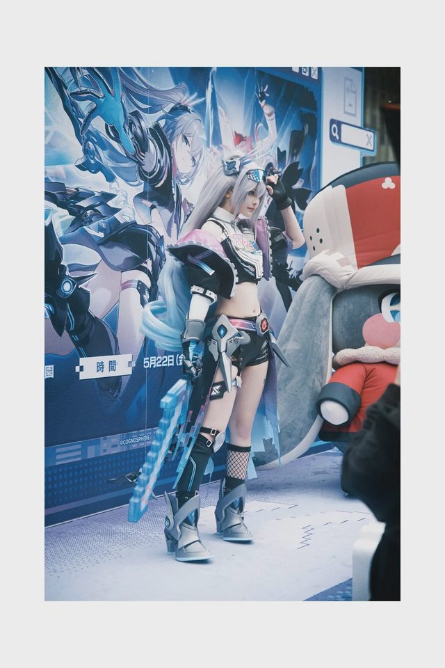 やもはちこ Silver Wolf LV999第 26 张图片