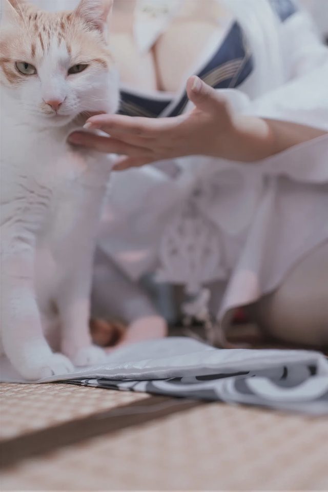 阿半今天很开心 碧蓝航线 白凤 和服第 29 张图片