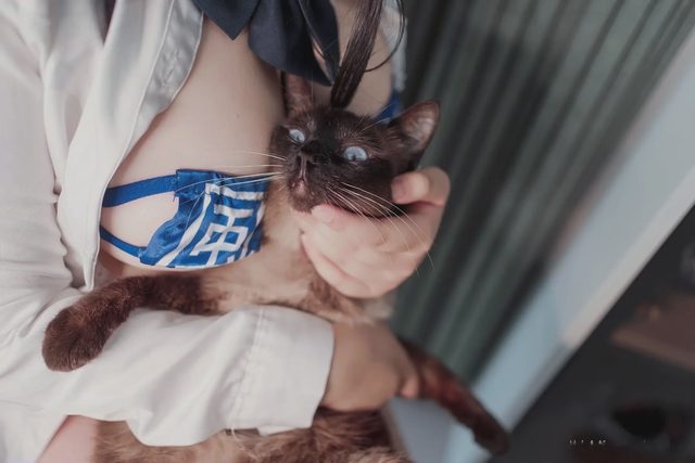 阿半今天很开心 碧蓝航线 大凤 JK第 48 张图片