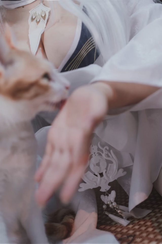 阿半今天很开心 碧蓝航线 白凤 和服第 30 张图片