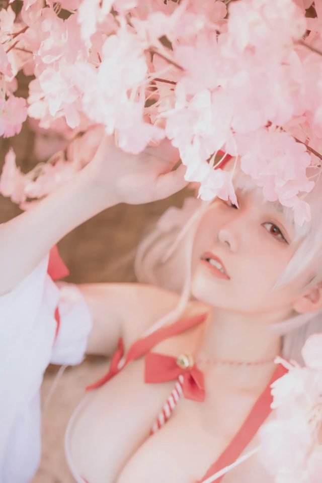 阿半今天很开心 碧蓝航线 可畏 巫女第 12 张图片