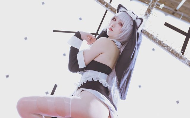 雇页页 阿尔维纳 修女ver第 12 张图片