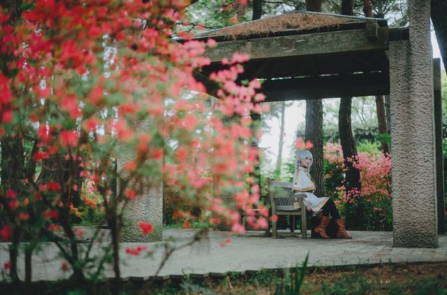 Elyee 202606 Set A Frieren in the Flower Sea 花海芙莉蓮第 43 张图片