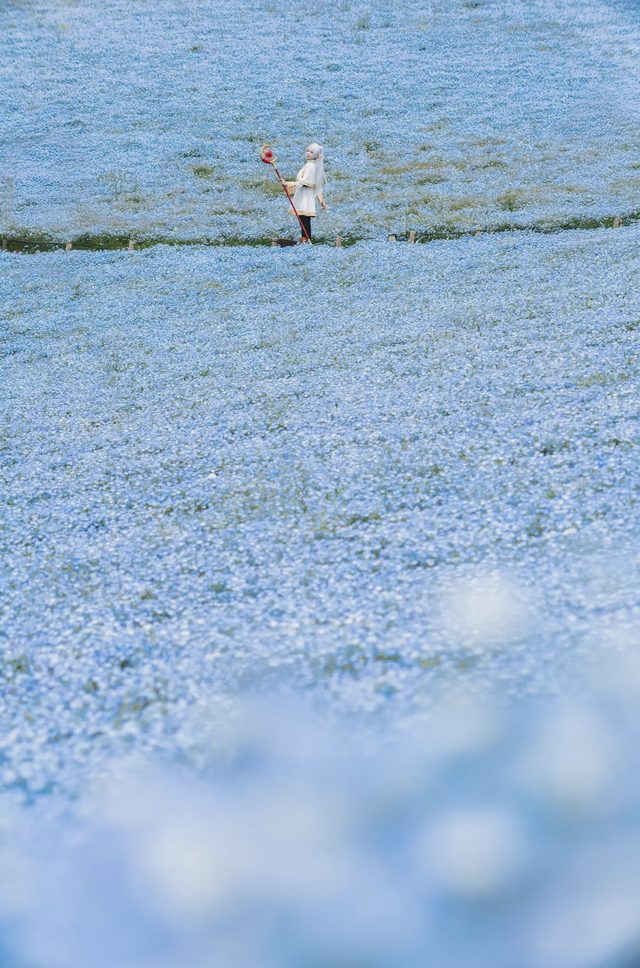Elyee 202606 Set A Frieren in the Flower Sea 花海芙莉蓮第 13 张图片