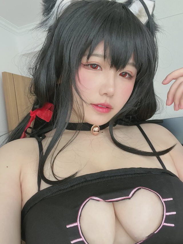 阿半今天很开心 碧蓝航线 大凤 猫猫第 36 张图片