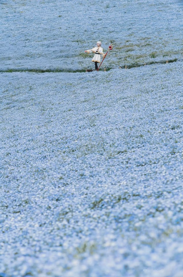 Elyee 202606 Set A Frieren in the Flower Sea 花海芙莉蓮第 12 张图片