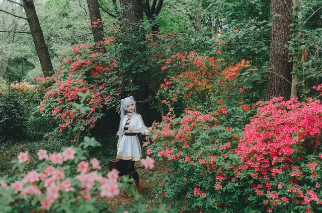 Elyee 202606 Set A Frieren in the Flower Sea 花海芙莉蓮第 48 张图片